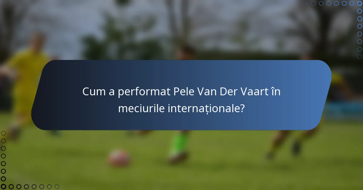 Cum a performat Pele Van Der Vaart în meciurile internaționale?