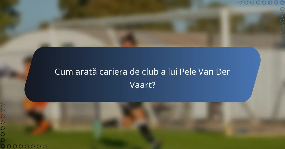 Cum arată cariera de club a lui Pele Van Der Vaart?